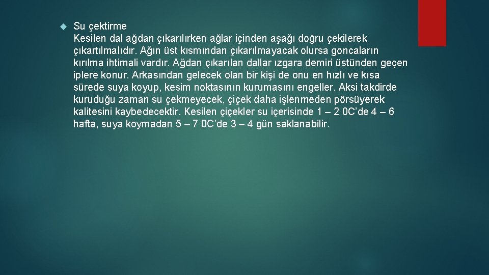  Su çektirme Kesilen dal ağdan çıkarılırken ağlar içinden aşağı doğru çekilerek çıkartılmalıdır. Ağın