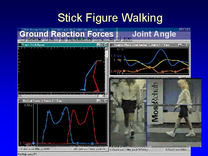 Stick Figure Walking Ground Reaction Forces Joint Angle Force Line WS 02/03 Universität Oldenburg