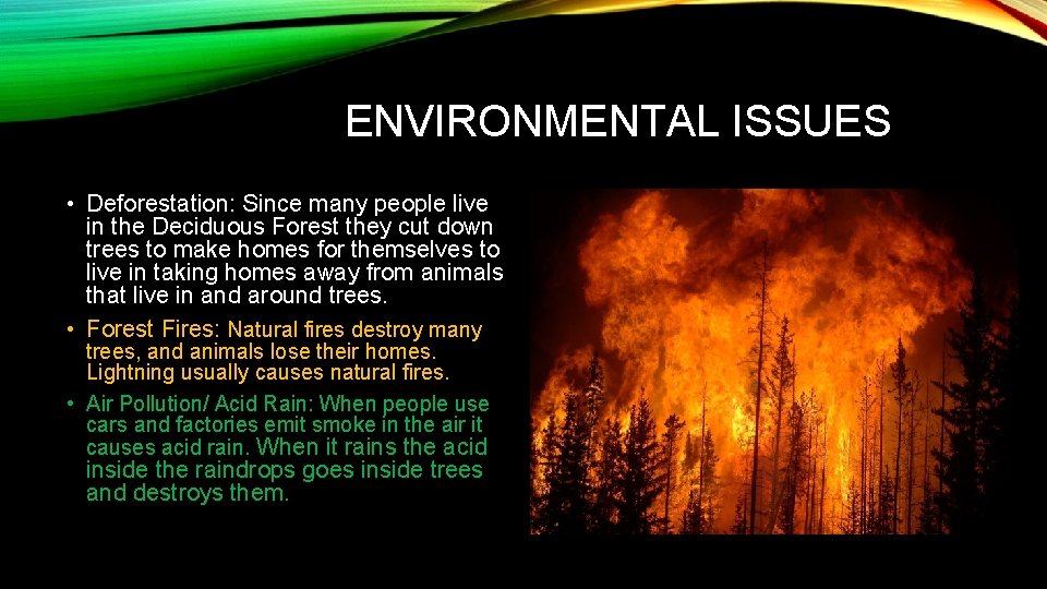 ENVIRONMENTAL ISSUES • Deforestation: Since many people live in the Deciduous Forest they cut