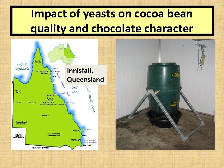 Impact of yeasts on cocoa bean quality and chocolate character Innisfail, Queensland 