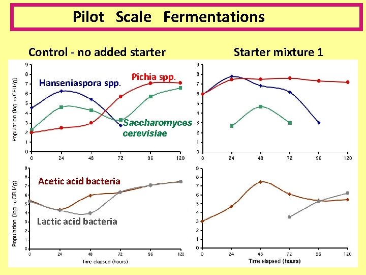 Pilot Scale Fermentations Control - no added starter Hanseniaspora spp. Pichia spp. Saccharomyces cerevisiae