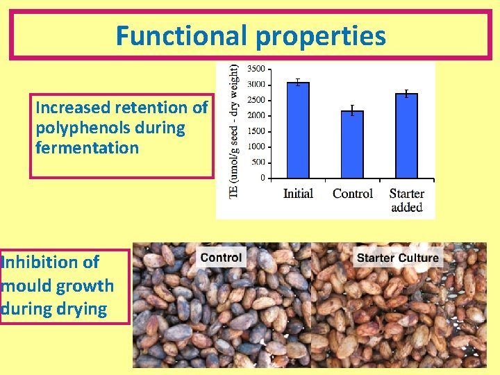 Functional properties Increased retention of polyphenols during fermentation Inhibition of mould growth during drying