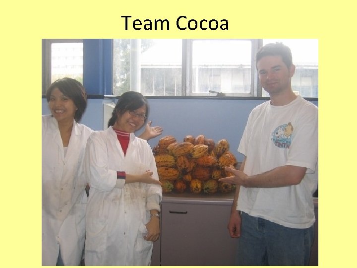 Team Cocoa 