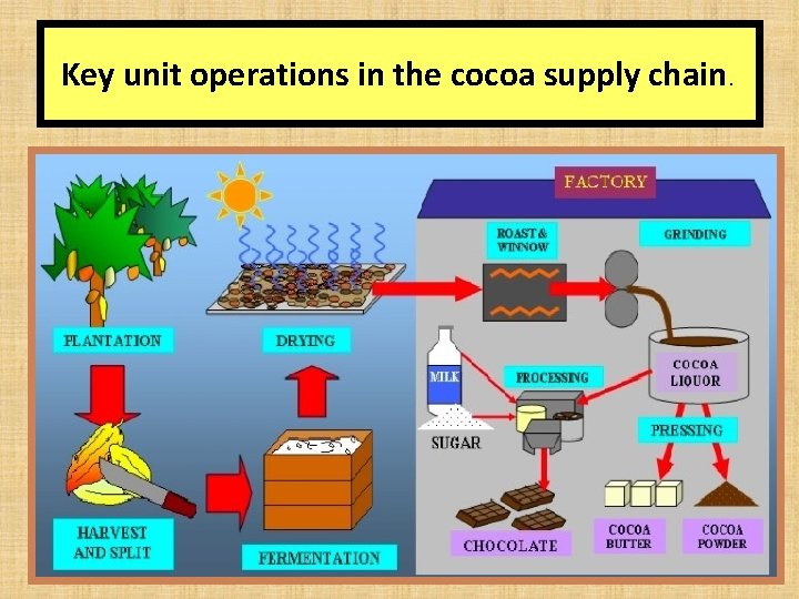 Key unit operations in the cocoa supply chain. 