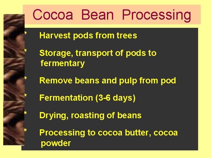 Cocoa Bean Processing * Harvest pods from trees * Storage, transport of pods to