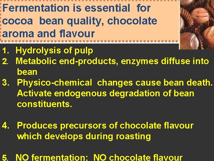 Fermentation is essential for cocoa bean quality, chocolate aroma and flavour 1. Hydrolysis of