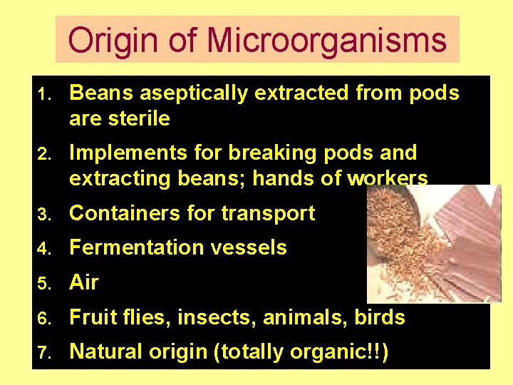 Origin of Microorganisms 1. Beans aseptically extracted from pods are sterile 2. Implements for