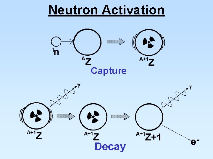Neutron Activation Capture Decay 