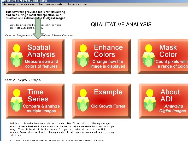 QUALITATIVE ANALYSIS 