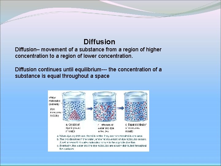 Diffusion– movement of a substance from a region of higher concentration to a region