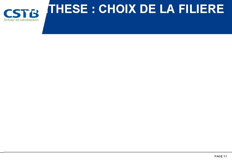 SYNTHESE : CHOIX DE LA FILIERE PAGE 11 