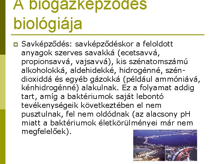 A biogázképződés biológiája p Savképződés: savképződéskor a feloldott anyagok szerves savakká (ecetsavvá, propionsavvá, vajsavvá),