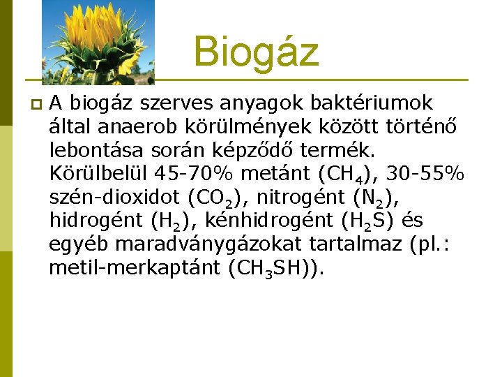 Biogáz p A biogáz szerves anyagok baktériumok által anaerob körülmények között történő lebontása során