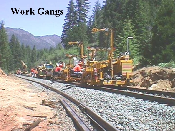 Work Gangs 