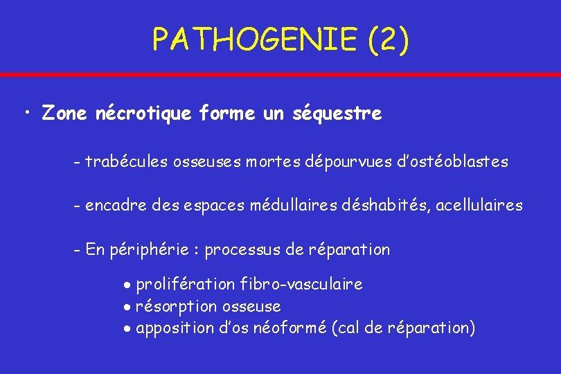 PATHOGENIE (2) • Zone nécrotique forme un séquestre - trabécules osseuses mortes dépourvues d’ostéoblastes