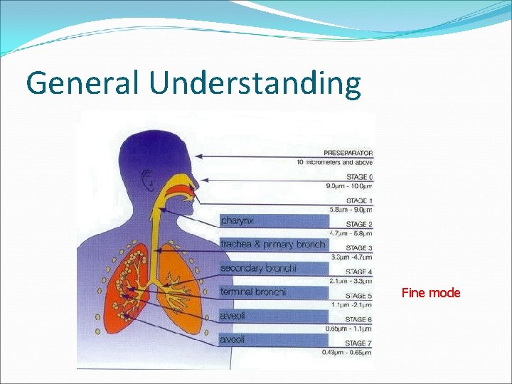 General Understanding Fine mode 