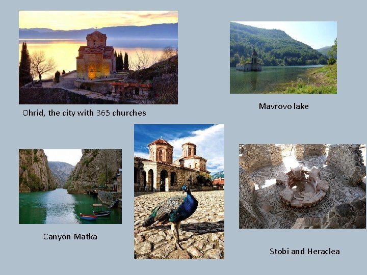 Ohrid, the city with 365 churches Mavrovo lake Canyon Matka Stobi and Heraclea 