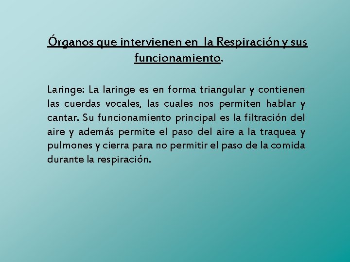 Órganos que intervienen en la Respiración y sus funcionamiento. Laringe: La laringe es en