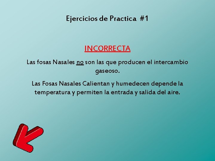 Ejercicios de Practica #1 INCORRECTA Las fosas Nasales no son las que producen el