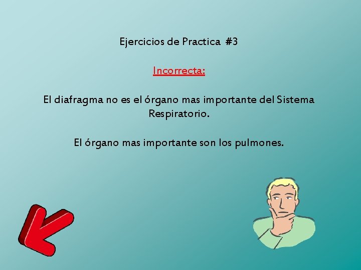 Ejercicios de Practica #3 Incorrecta: El diafragma no es el órgano mas importante del