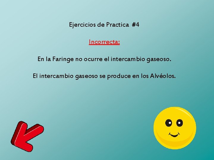 Ejercicios de Practica #4 Incorrecta: En la Faringe no ocurre el intercambio gaseoso. El