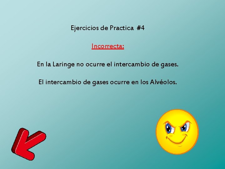 Ejercicios de Practica #4 Incorrecta: En la Laringe no ocurre el intercambio de gases.