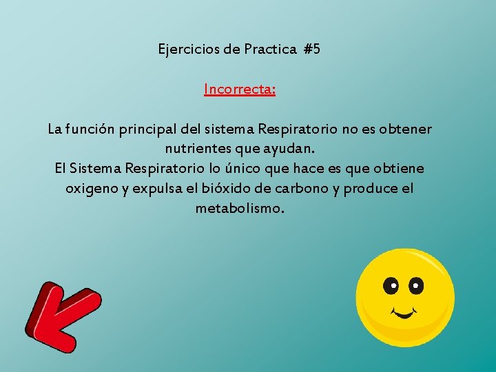 Ejercicios de Practica #5 Incorrecta: La función principal del sistema Respiratorio no es obtener