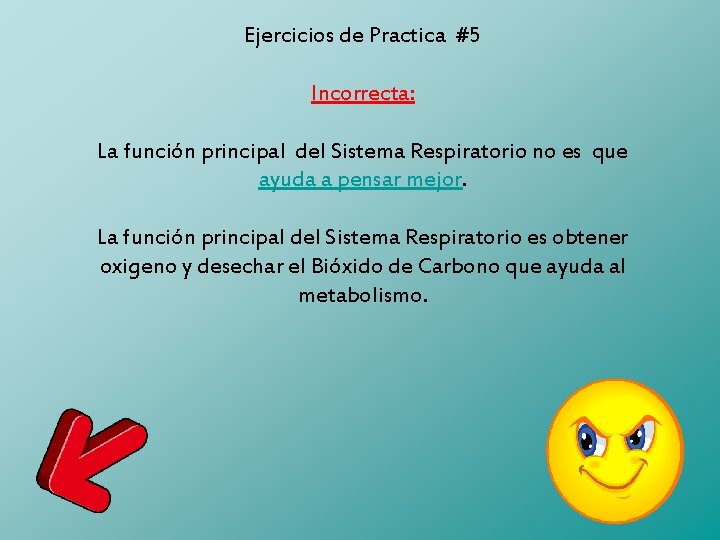 Ejercicios de Practica #5 Incorrecta: La función principal del Sistema Respiratorio no es que
