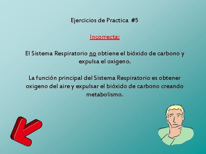 Ejercicios de Practica #5 Incorrecta: El Sistema Respiratorio no obtiene el bióxido de carbono