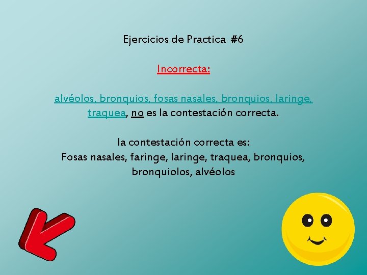 Ejercicios de Practica #6 Incorrecta: alvéolos, bronquios, fosas nasales, bronquios, laringe, traquea, no es