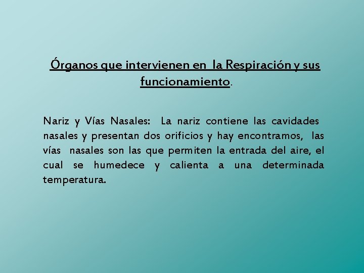 Órganos que intervienen en la Respiración y sus funcionamiento. Nariz y Vías Nasales: La