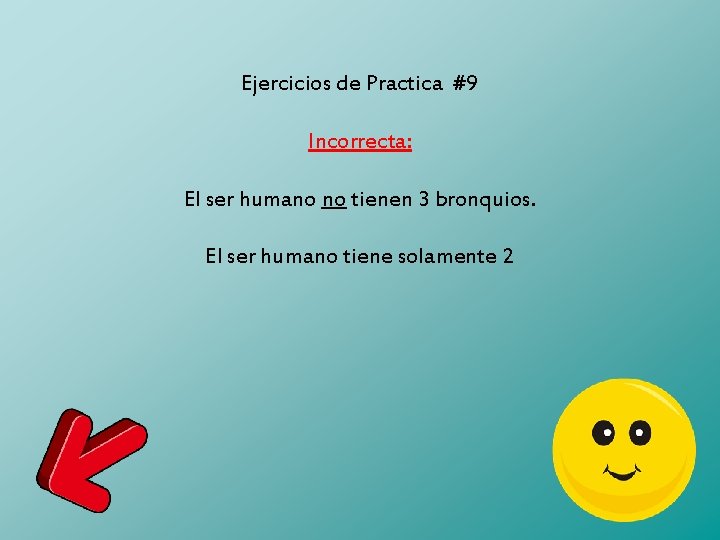 Ejercicios de Practica #9 Incorrecta: El ser humano no tienen 3 bronquios. El ser