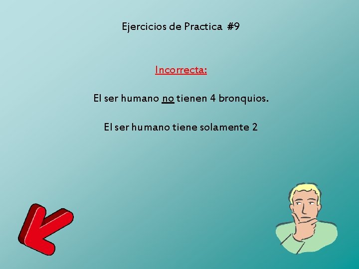 Ejercicios de Practica #9 Incorrecta: El ser humano no tienen 4 bronquios. El ser