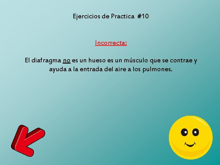 Ejercicios de Practica #10 Incorrecta: El diafragma no es un hueso es un músculo