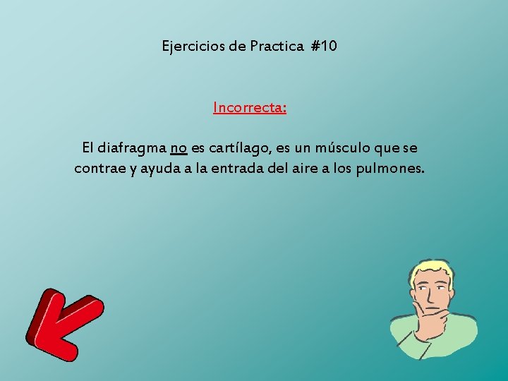 Ejercicios de Practica #10 Incorrecta: El diafragma no es cartílago, es un músculo que