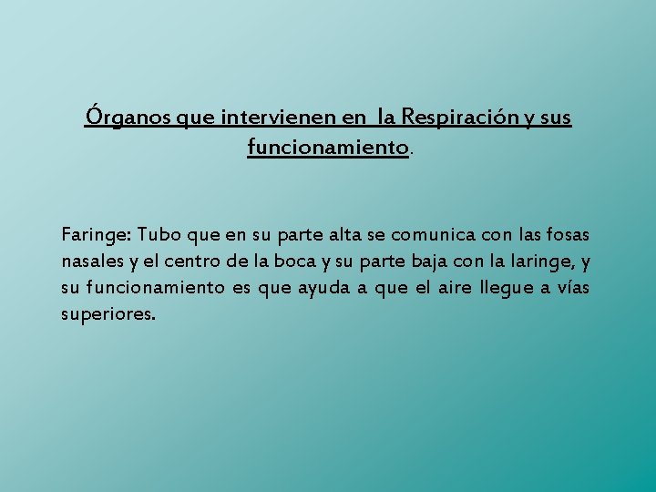 Órganos que intervienen en la Respiración y sus funcionamiento. Faringe: Tubo que en su