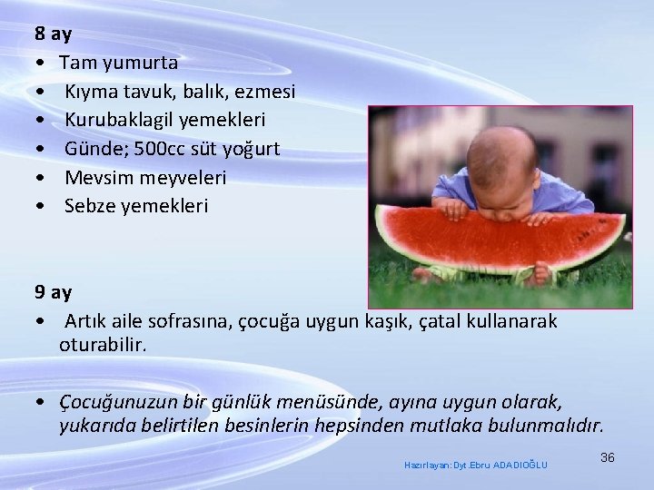 8 ay • Tam yumurta • Kıyma tavuk, balık, ezmesi • Kurubaklagil yemekleri •