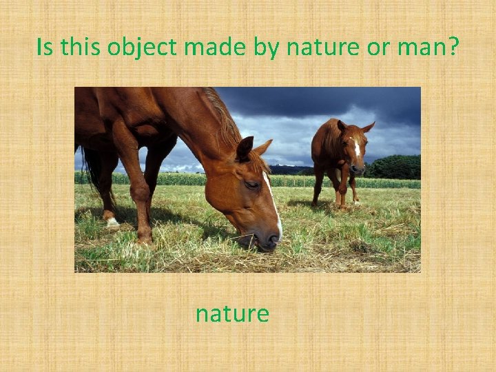 Is this object made by nature or man? nature 