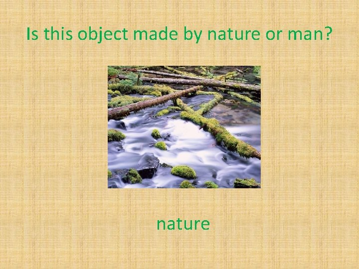 Is this object made by nature or man? nature 