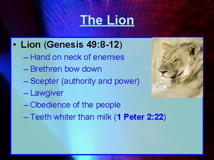 The Lion • Lion (Genesis 49: 8 -12) – Hand on neck of enemies