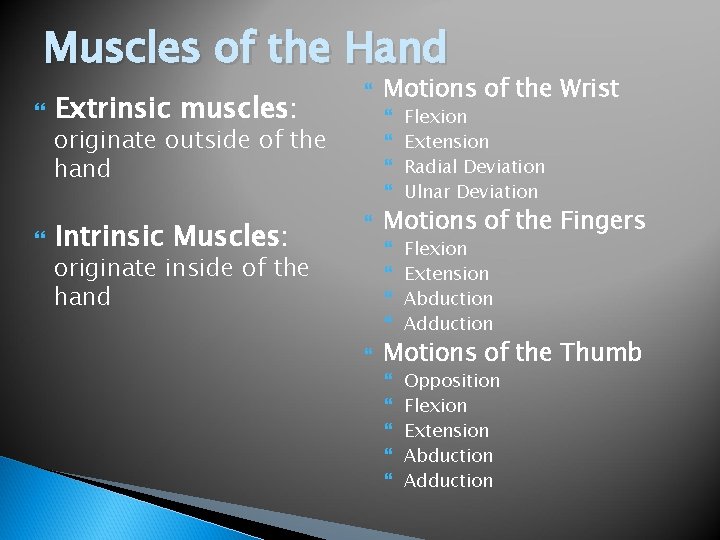 Muscles of the Hand Extrinsic muscles: Intrinsic Muscles: Motions of the Wrist originate outside