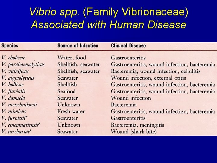 Vibrio spp. (Family Vibrionaceae) Associated with Human Disease 