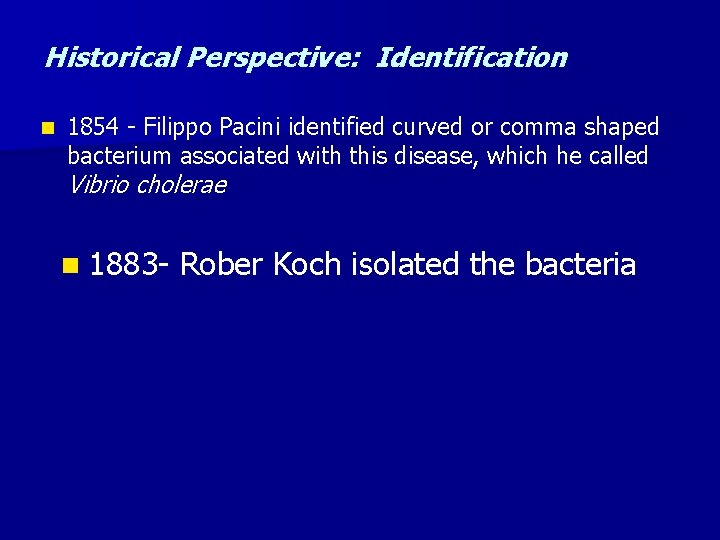 Historical Perspective: Identification n 1854 - Filippo Pacini identified curved or comma shaped bacterium