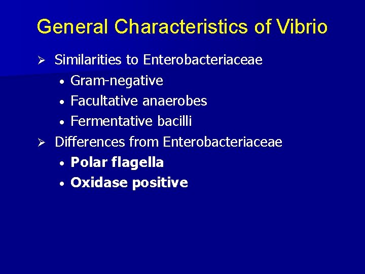 General Characteristics of Vibrio Similarities to Enterobacteriaceae · Gram-negative · Facultative anaerobes · Fermentative