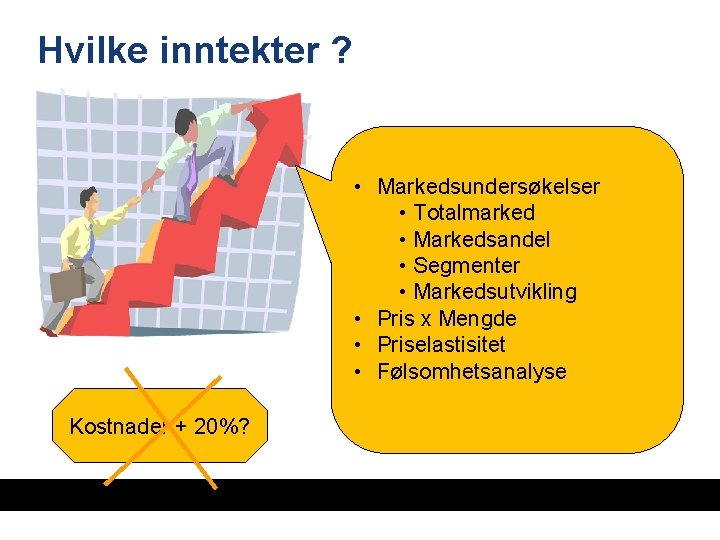Hvilke inntekter ? • Markedsundersøkelser • Totalmarked • Markedsandel • Segmenter • Markedsutvikling •