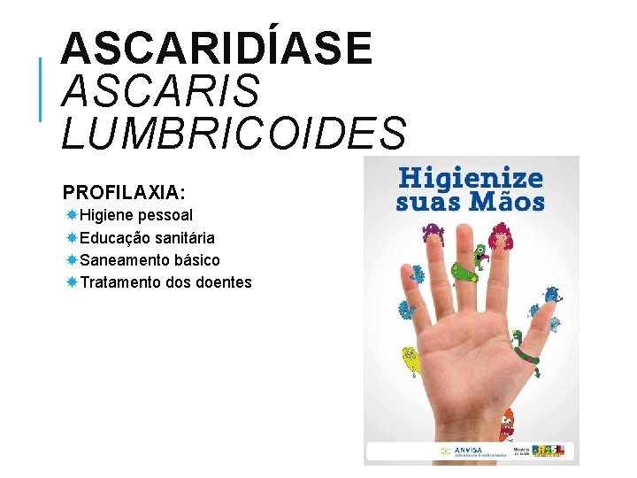 ASCARIDÍASE ASCARIS LUMBRICOIDES PROFILAXIA: Higiene pessoal Educação sanitária Saneamento básico Tratamento dos doentes 