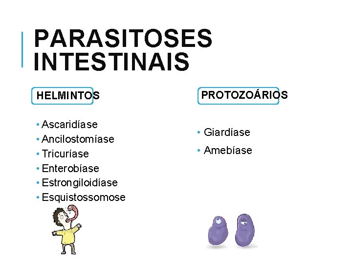 PARASITOSES INTESTINAIS HELMINTOS • Ascaridíase • Ancilostomíase • Tricuríase • Enterobíase • Estrongiloidíase •