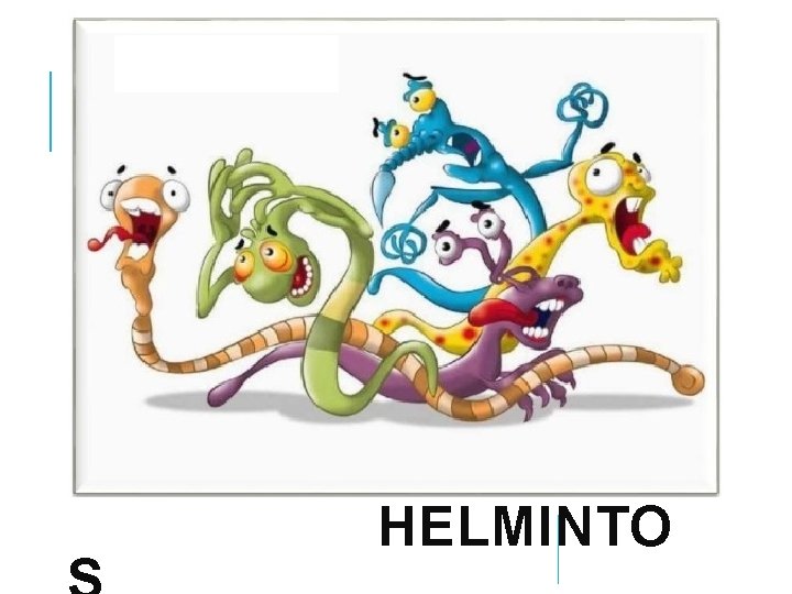  HELMINTO 