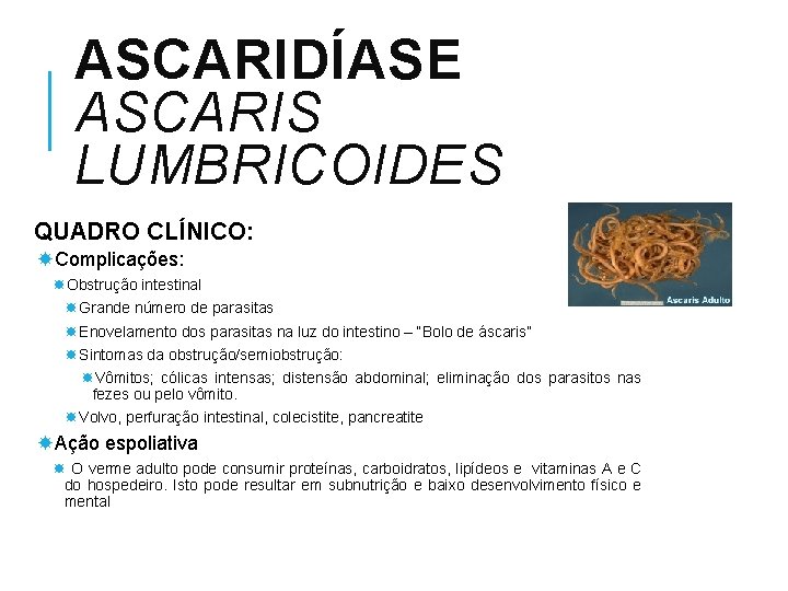 ASCARIDÍASE ASCARIS LUMBRICOIDES QUADRO CLÍNICO: Complicações: Obstrução intestinal Grande número de parasitas Enovelamento dos