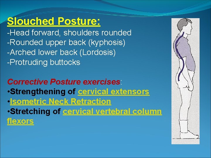 Slouched Posture: -Head forward, shoulders rounded -Rounded upper back (kyphosis) -Arched lower back (Lordosis)